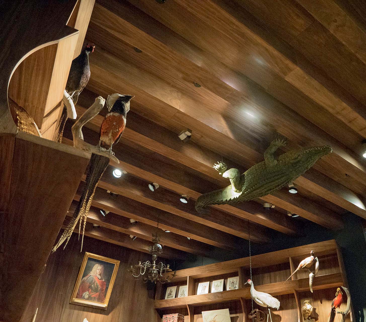 Gabinete de curiosidades y maravillas – Luis Rodríguez